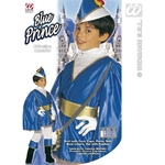 deguisement prince bleu enfant 1
