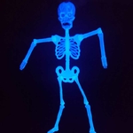 petit-squelette-articule-phosphorescent