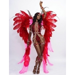 costume carnaval de rio plumes rouges