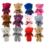 porte clef ourson love couleur