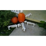 Chien-squelette-luxe-Halloween-55-cm tekel 1