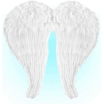 ailes plumes blanches 70 cm x 80 cm