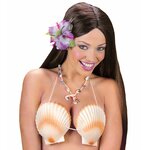soutien gorge coquillage