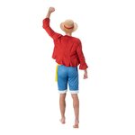 luffy-4-pieces-one-piece-s (1)