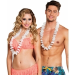 BOITE 25 COLLIERS HAWAI BLANCS