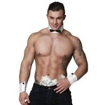 SET STRIPTEASER