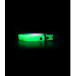 ceinture fluo
