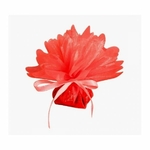 10 ronds cristal organza rouge dragee 1