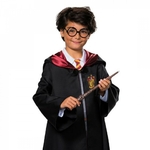 KIT LUNETTES ET BAGUETTES HARRY POTTER 2