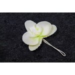 4 ORCHIDEE IVOIRE SUR TIGE 1