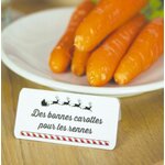 KIT DE BIENVENUE PERE NOEL.2