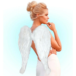 AILES MAXI PLUMES BLANCHES 2