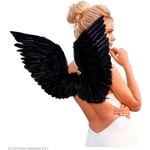 AILES PLUMES NOIRES
