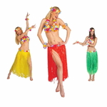 Ensemble-de-danseuse-hawaienne