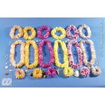 SET HAWAIEN  LUXE