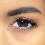 lentilles big eyes blue annuelles