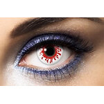 LENTILLES DEAD BLODD ANNUELLES