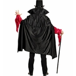 DEGUISEMENT DRACULA GRIS. 1JPG