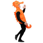 deguisement hippocampe 2