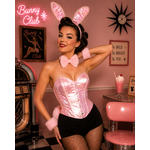SUPER HEROS BUNNY.jpget lapin rose pinup sexy , festival