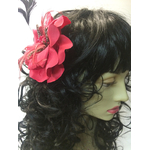 pince-begonia-rouges-z