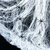 TOILE ARAIGNEE BLANCHE