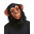 MASQUE LATEX CHIMPANZE
