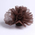 10 tulles dragees intisse chocolat
