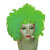perruque-plumes-verte-z