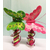 tube-papillon-z