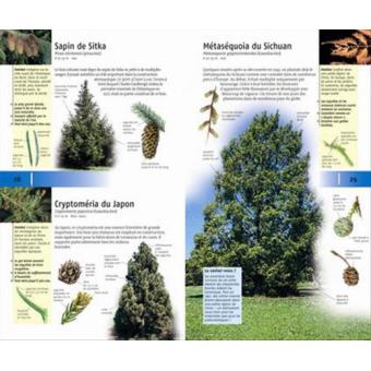 350-arbres-et-arbustes-page02