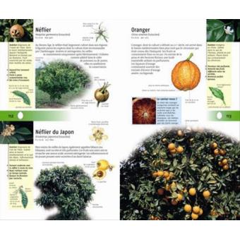 350-arbres-et-arbustes-page04
