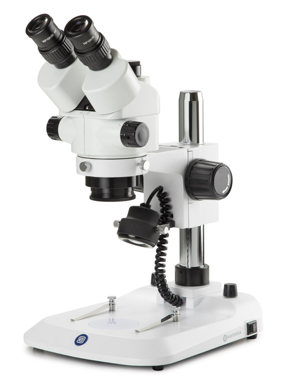 Microscope StereoBlue Zoom trinocular SB.1903-P