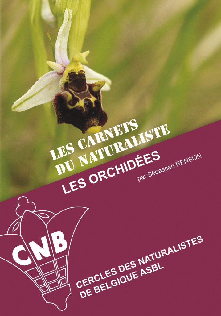 Cercle-Naturalistes-Belgique-Carnet-du-Naturalistes-Orchidees