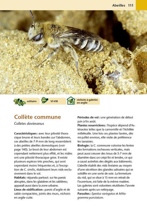 Hotels-a-insectes_page111