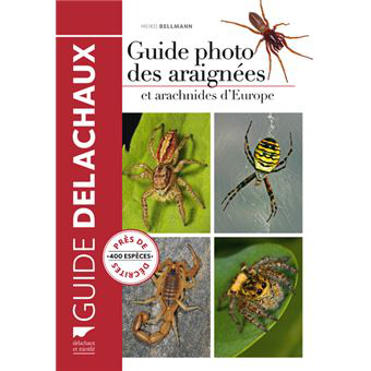 Guide photo des araignées et arachnides d\'Europe