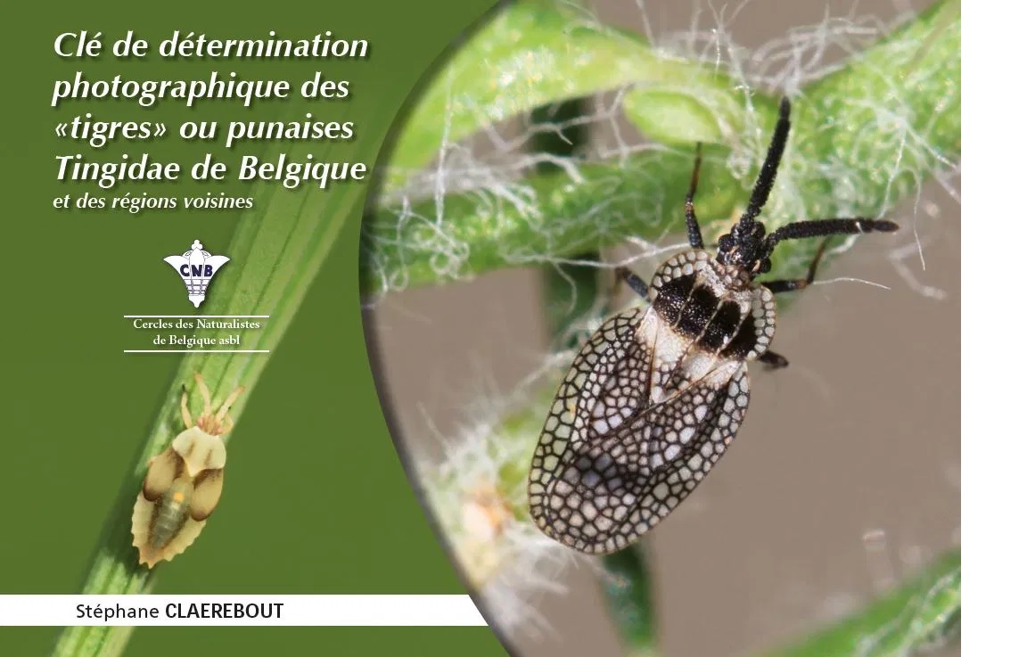 CNB-cle-determination-punaises-tingidae-couverture