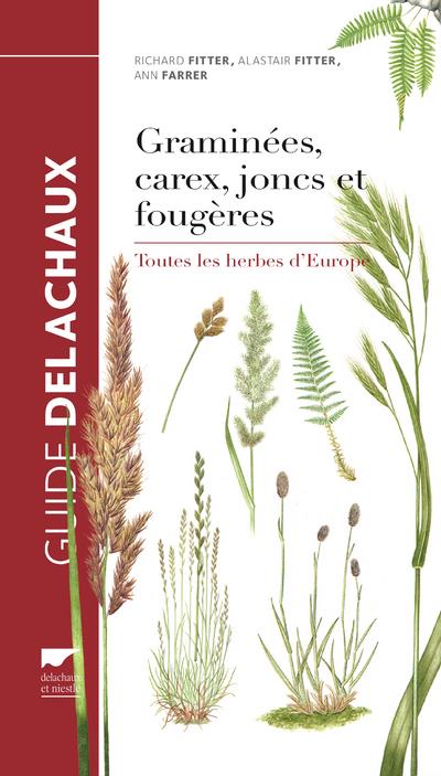 Graminees, carex, joncs et fougeres. Toutes les herbes d\'Europe