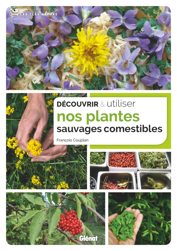 Decouvrir-utiliser-nos-plantes-sauvages-cosmestibles_cover