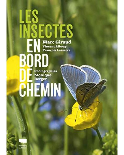 Les-insectes-en-bord-de-chemin