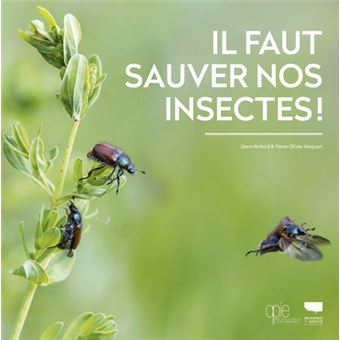 Il-faut-sauver-nos-insectes