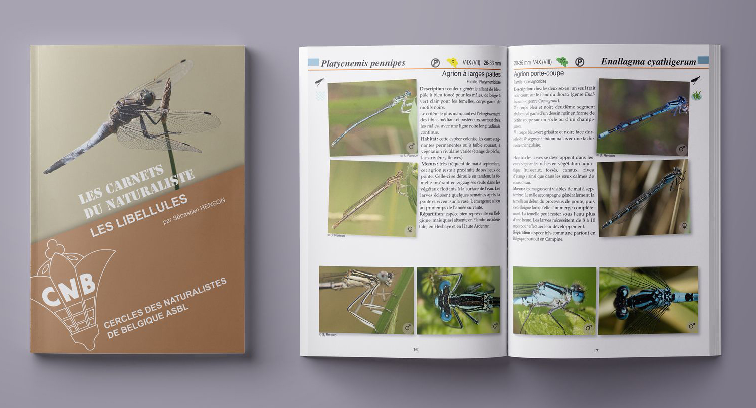 Cercles des Naturalistes de Belgiques - Sébastien RENSON - Couverture : libellule ou demoiselle près dun étang, ailes déployées, en lumière naturelle