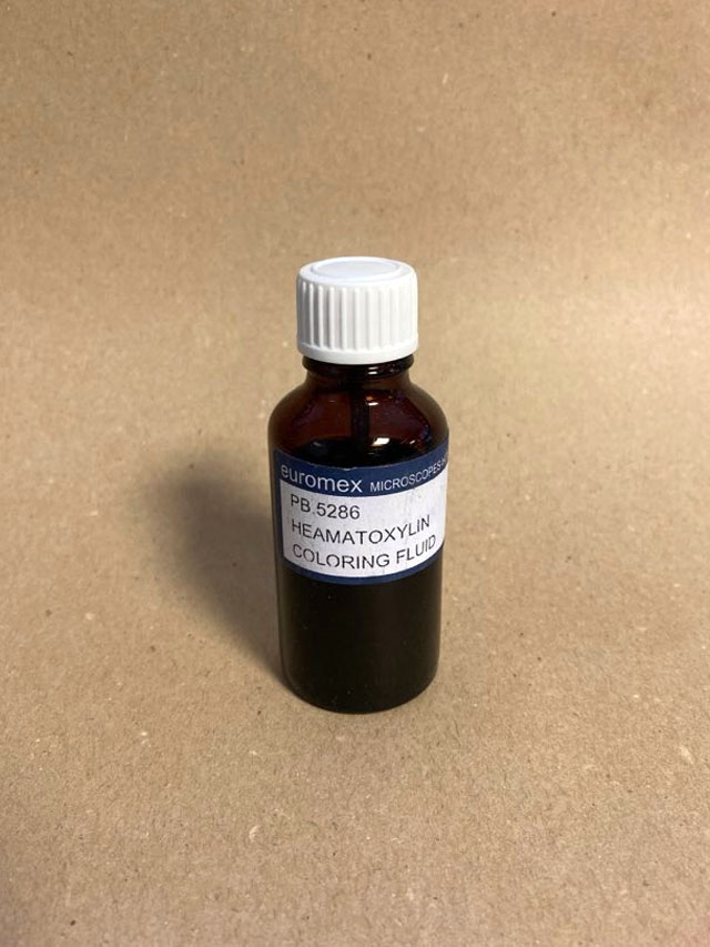 Colorant de noyau - Hématoxyline
