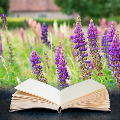 maunakea categorie flore librairie