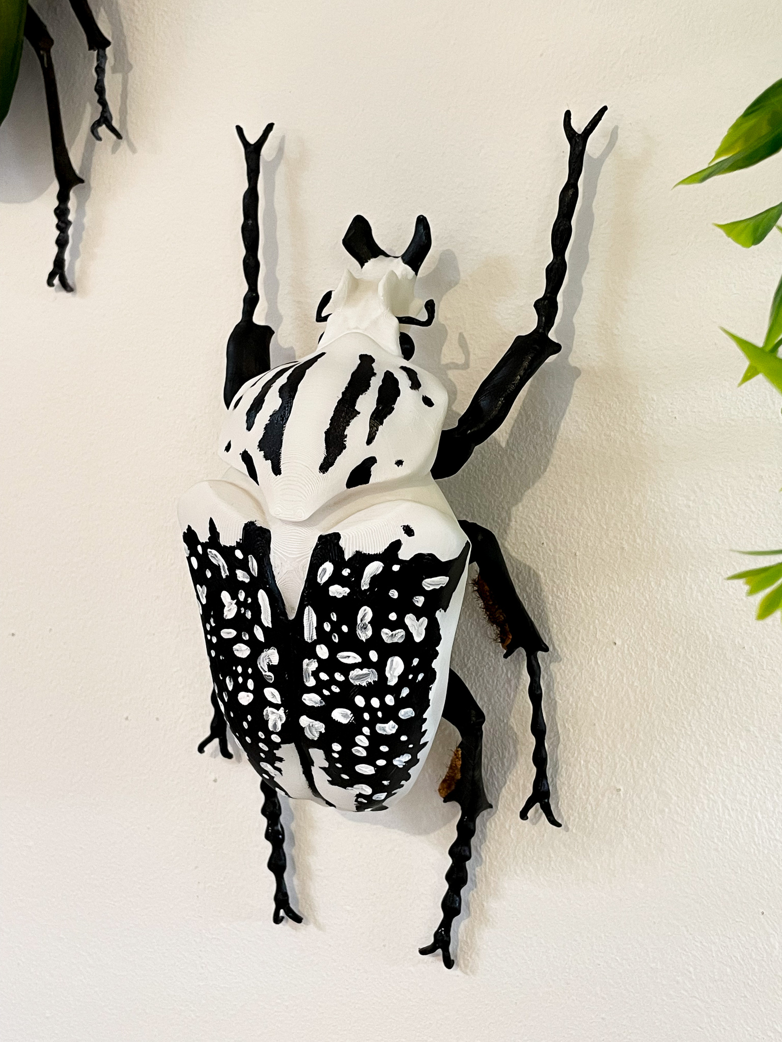 Coleoptere-decoration-educatif-insecte-goliath-2-maunakea