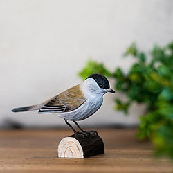 oiseau sculplte maunakea
