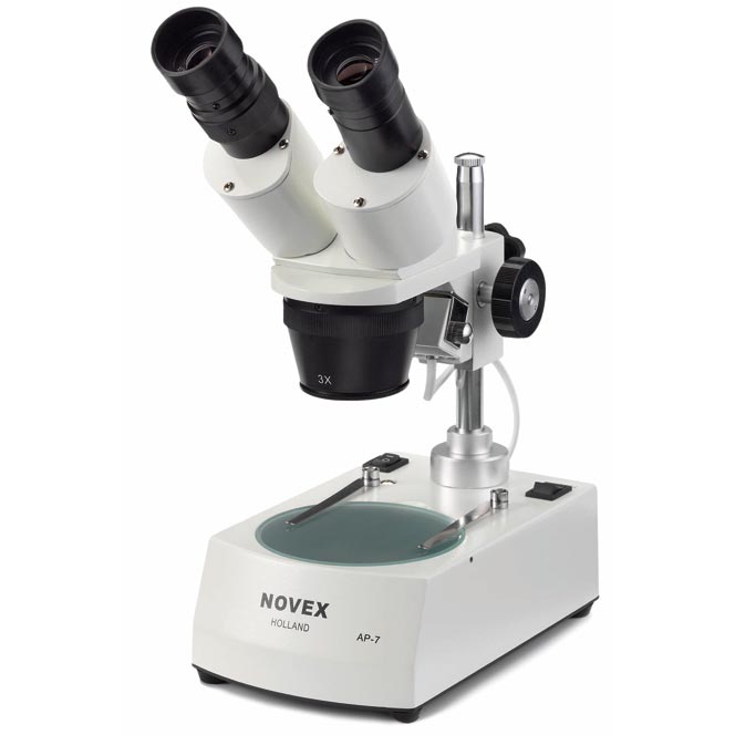 Microscope binoculaire Novex AP-8
