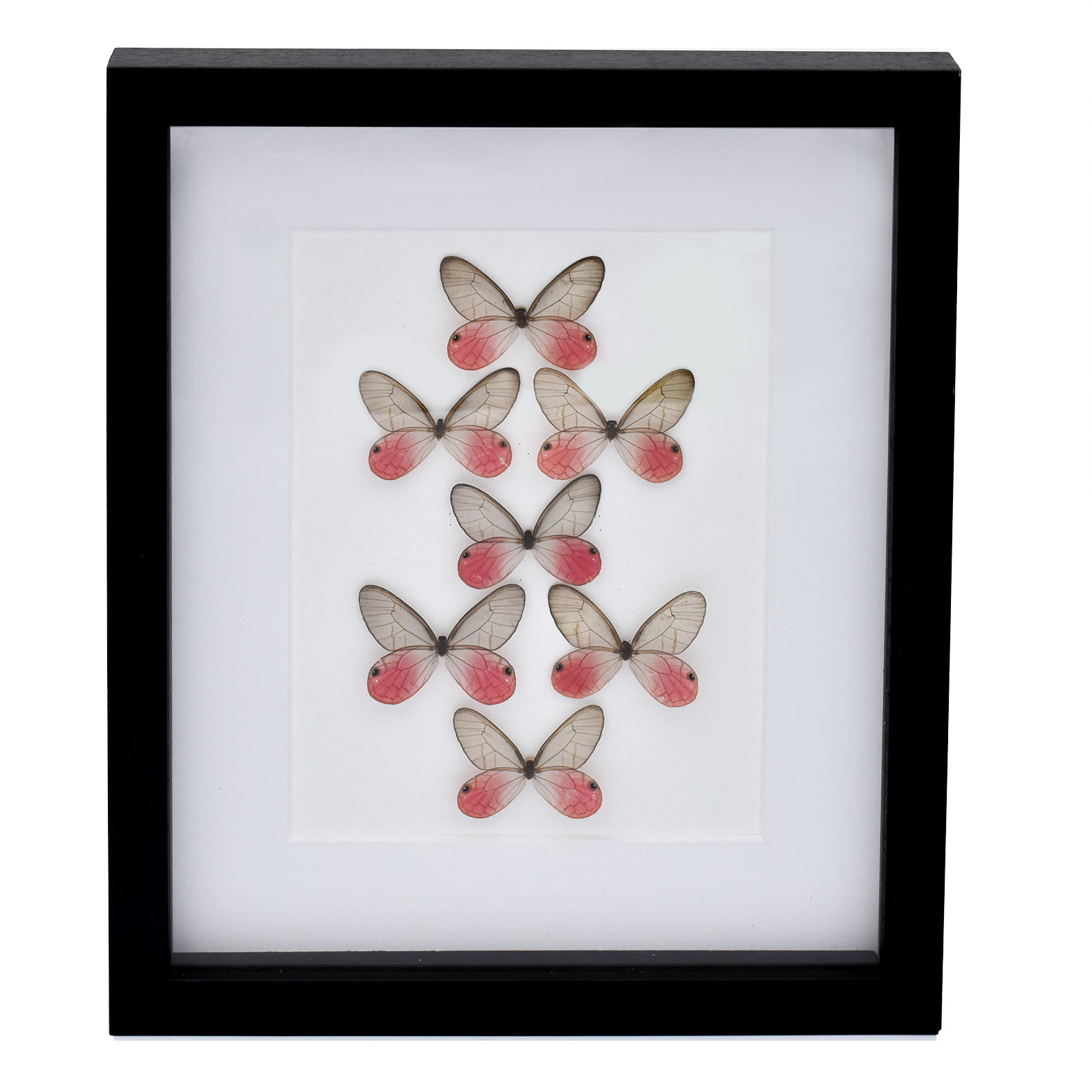 Cadre de Papillon - Papillons de cristal ambré