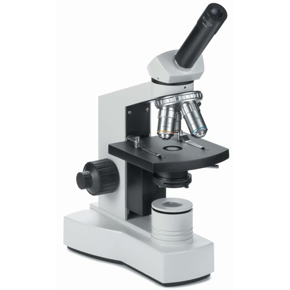 Microscope binoculaire BioBlue, EUROMEX® - Materiel pour Laboratoire