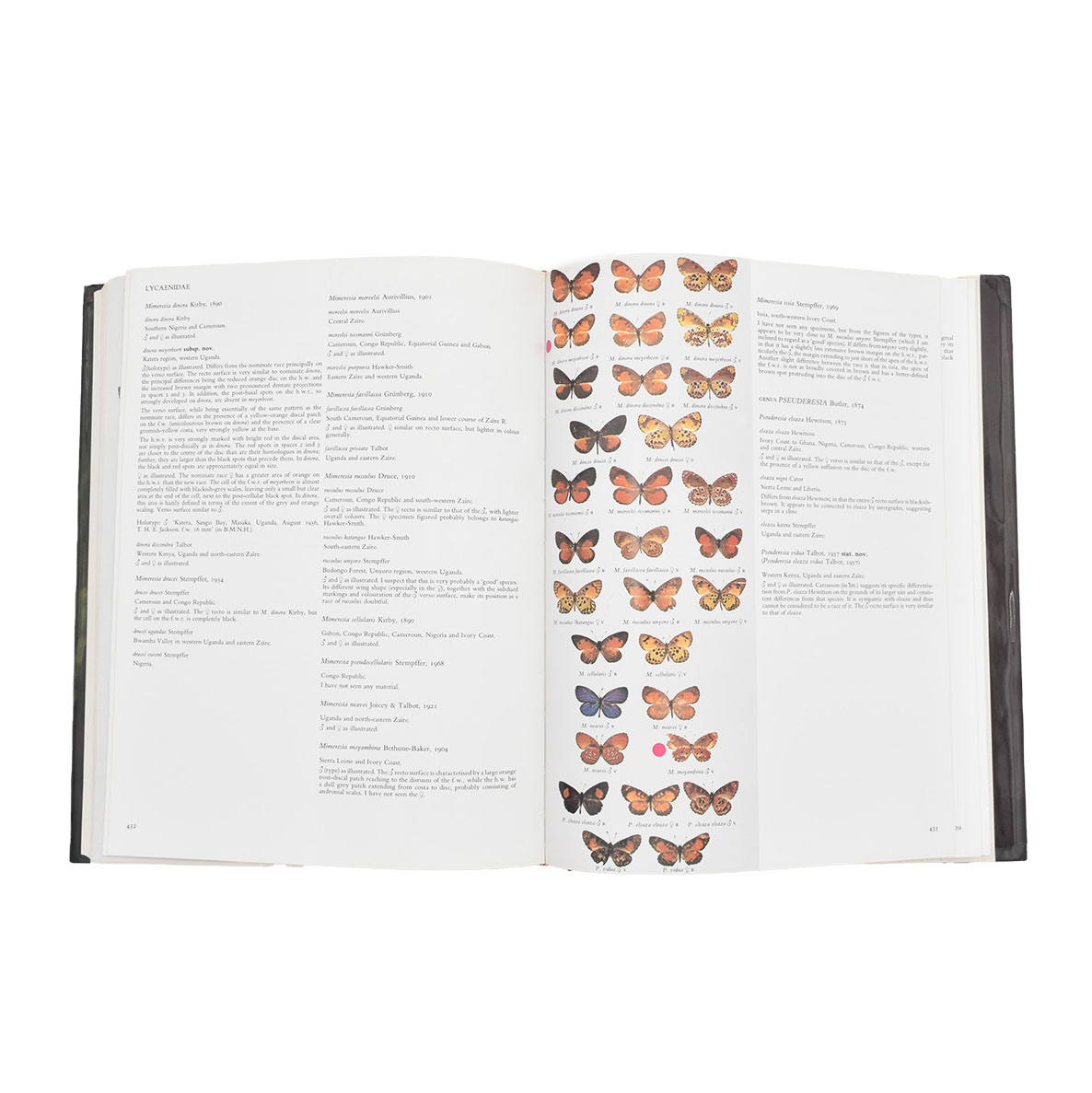 livre-entomologie-butterflies-of-the-afrotropical-region-interieur-maunakea